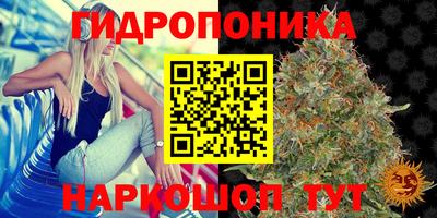 ПСИЛОЦИБИНОВЫЕ ГРИБЫ Бийск